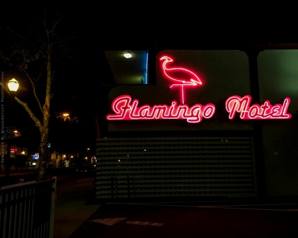The Flamingo Motel San Jose image 1