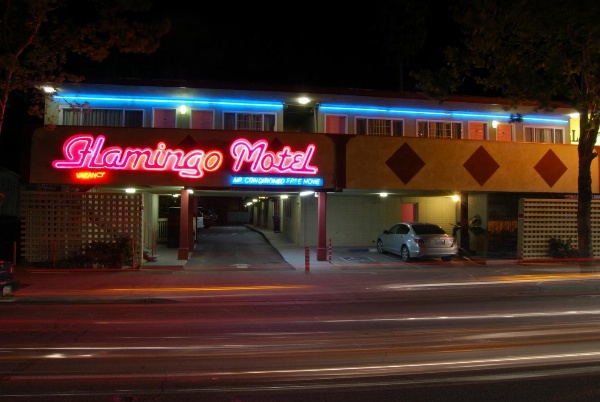 The Flamingo Motel San Jose Main image
